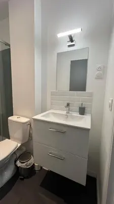 Salle de bains dans l'établissement Studios modernes et chaleureux proche gare avec accès jardin