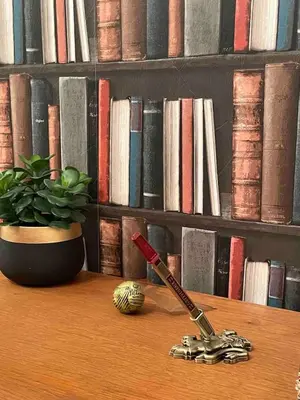 Bibliothèque dans l'appartement