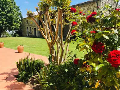 Jardin de l'établissement Gîte Au Boom Coeur en options SPA et Repas