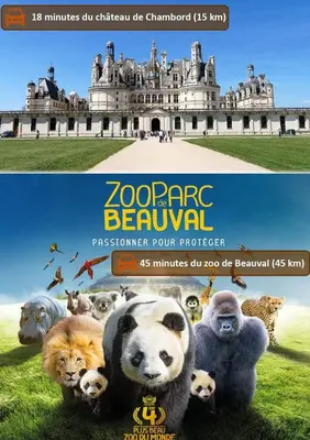 Animaux dans l'appartement ou à proximité