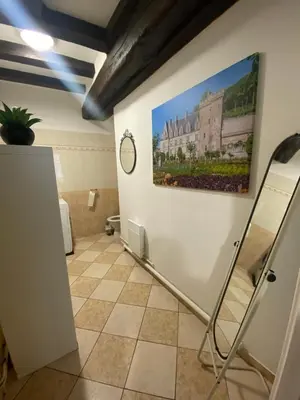 Salle de bains dans l'établissement Logement de groupe au centre d'Azay le Rideau