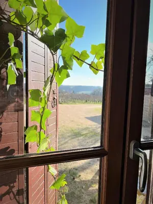 Paysage naturel près de l'appartement