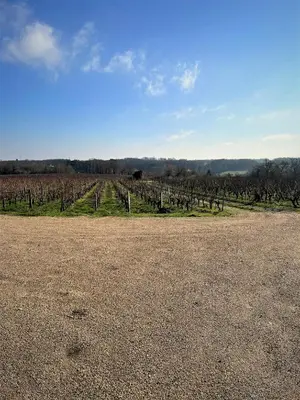 Paysage naturel près de l'appartement