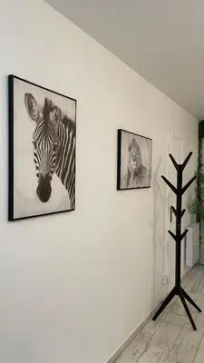 Plan de l'établissement Tous'o'Zoo, au cœur du centre-ville