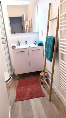 Salle de bains dans l'établissement Gite de la rivière avec patio et parking centre ville