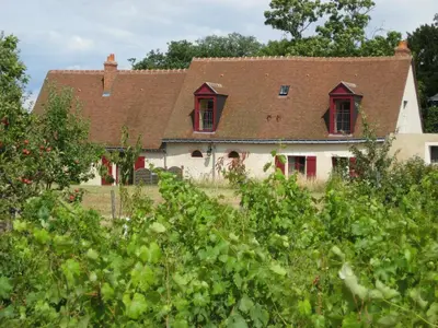 Jardin de l'établissement Cottage du vigneron