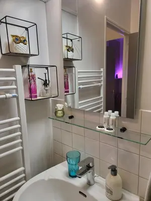 Salle de bains dans l'établissement Appartement centre ville chic et cozy