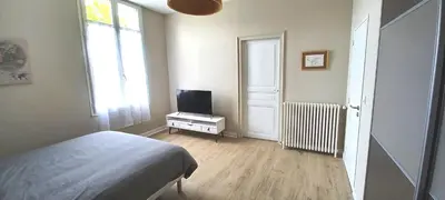 Télévision ou salle de divertissement dans l'établissement Histoire de Loire - DU BELLAY