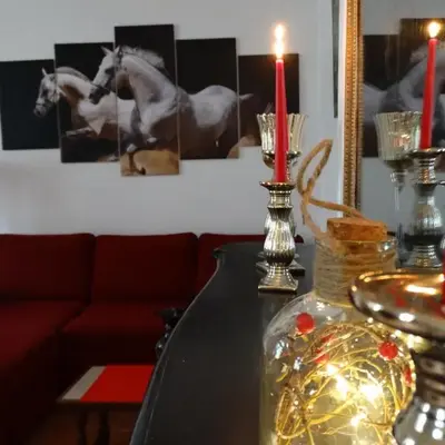 Studio Séquoia au pied du Château