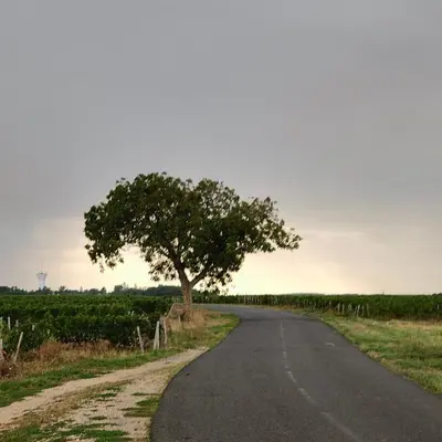 Paysage naturel près de la maison de vacances