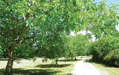 Paysage naturel près de la maison de vacances