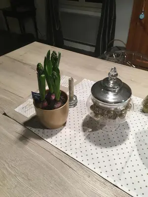 Plan de l'établissement Chambre avec balcon et salle de bains privée
