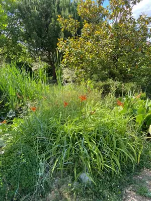 Jardin de l'établissement La Charmeraie : Le Logis