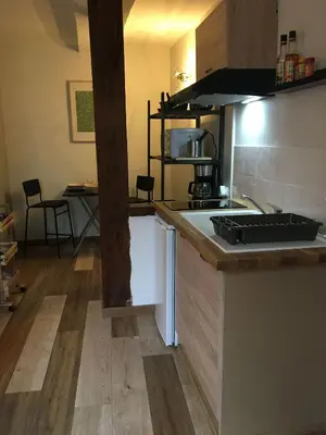 Cuisine ou kitchenette dans l'établissement Les Studios de l'Escale proche du Zoo de Beauval