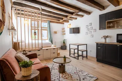 Télévision ou salle de divertissement dans l'établissement Cocon du Vieux Tours