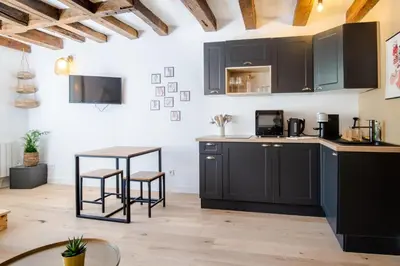 Cuisine ou kitchenette dans l'établissement Cocon du Vieux Tours