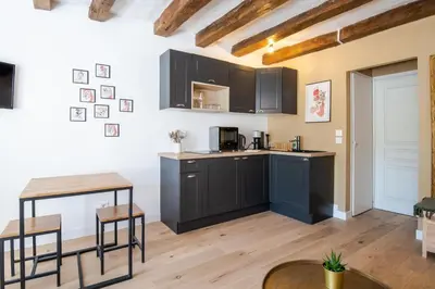 Cuisine ou kitchenette dans l'établissement Cocon du Vieux Tours