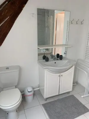 Salle de bains dans l'établissement Les Bocages, gîtes de charme en Val de Loire, piscine chauffée