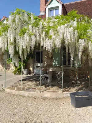 Jardin de l'établissement Chambres d'hôtes, 