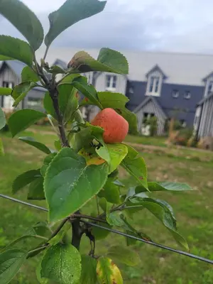 Jardin de l'établissement Le Bois des Chambres