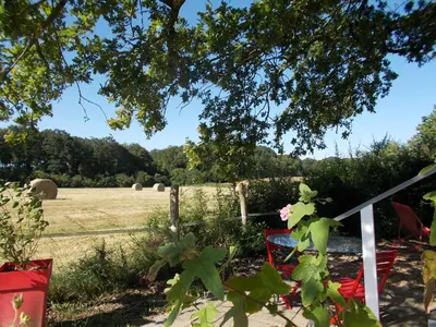 Jardin de l'établissement Domaine et gîtes insolites Touts Vents