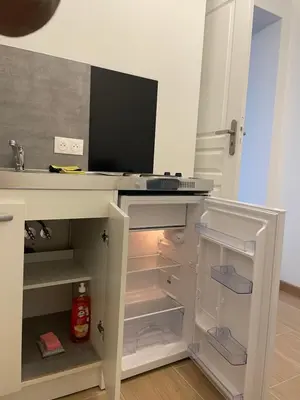 Cuisine ou kitchenette dans l'établissement Cosy studio, lit double
