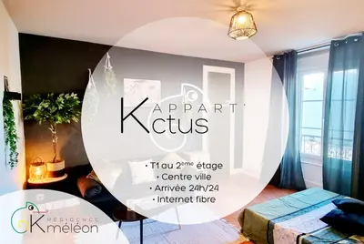 Coin salon dans l'établissement L'appart K-torze- RARE ! 14 couchages en centre ville du Mans