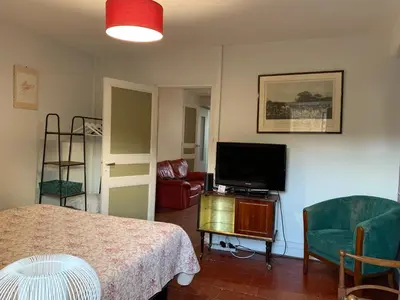 Télévision ou salle de divertissement dans l'établissement Les Amis de Beauval