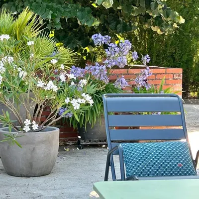 Jardin de l'établissement La Grenouillère - Chambre d'hôtes de charme