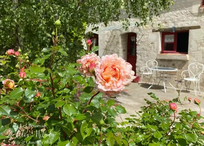 Jardin de l'établissement Le Clos Milady - Gîtes de campagne en Touraine