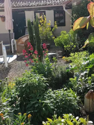 Jardin de l'établissement La Little School Chambres d'Hôtes à Arçay