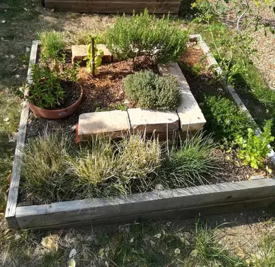 Jardin de l'établissement Les jardins de Beauverger