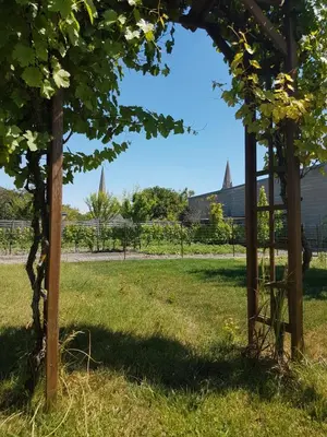 Paysage naturel près de le séjour chez l'habitant