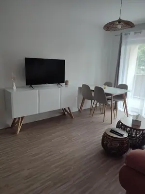 Télévision ou salle de divertissement dans l'établissement T2 en centre ville avec place de parking privative