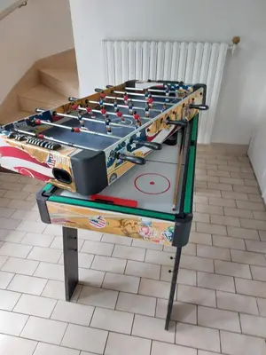 Tennis de table au sein de l'établissement maison individuel proche des châteaux et Amboise avec jardin clos ou à proximité