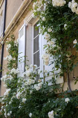 Jardin de l'établissement La Foutelaie