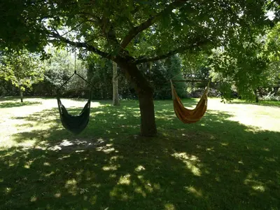 Jardin de l'établissement Gîte de charme 