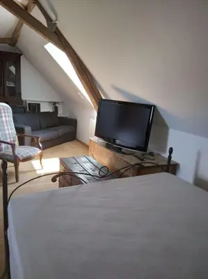 Télévision ou salle de divertissement dans l'établissement Le Manoir à proximité de Tours
