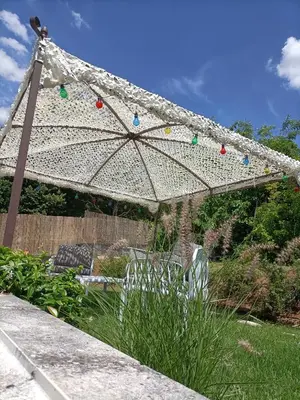Jardin de l'établissement Chambre Jungle dans maison d'hote 