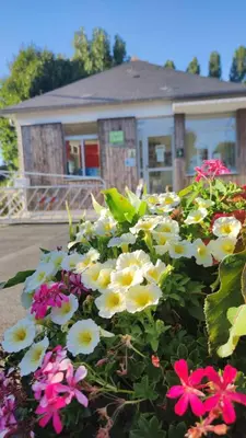 Jardin de l'établissement Camping Onlycamp La Gâtine
