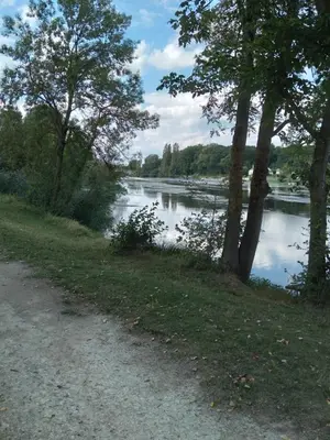 Paysage naturel près de le camping