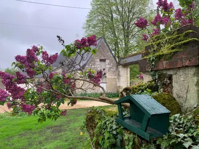 Jardin de l'établissement La Grange d Ave