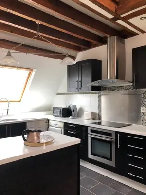 Cuisine ou kitchenette dans l'établissement L'Appart'Mans, luxueux, spacieux, bien situé