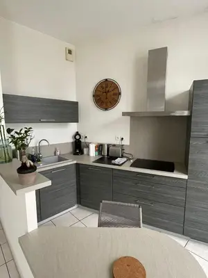 Cuisine ou kitchenette dans l'établissement Bel appartement spacieux et lumineux hyper centre Blois