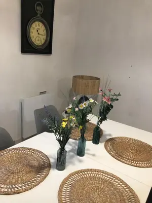 Plan de l'établissement Bel appartement spacieux et lumineux hyper centre Blois