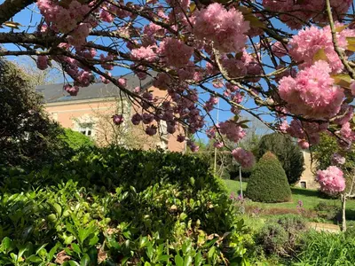 Jardin de l'établissement Domaine du moulin de la plaine
