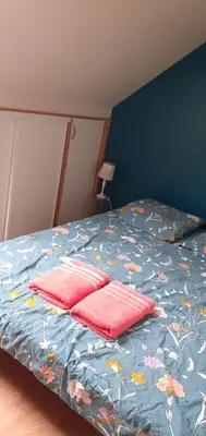 Un ou plusieurs lits dans un hébergement de l'établissement Maison au calme à proximité du circuit