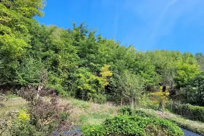Paysage naturel près de l'appartement