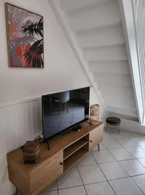 Télévision ou salle de divertissement dans l'établissement Gîte Animals King'Dôme 8min du Zoo de Beauval