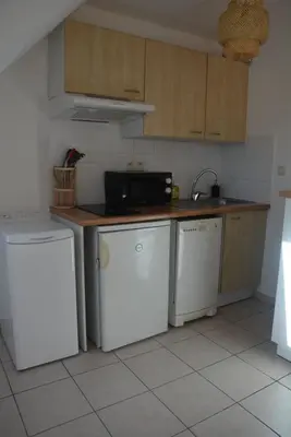 Cuisine ou kitchenette dans l'établissement Appartement Leonard de Vinci